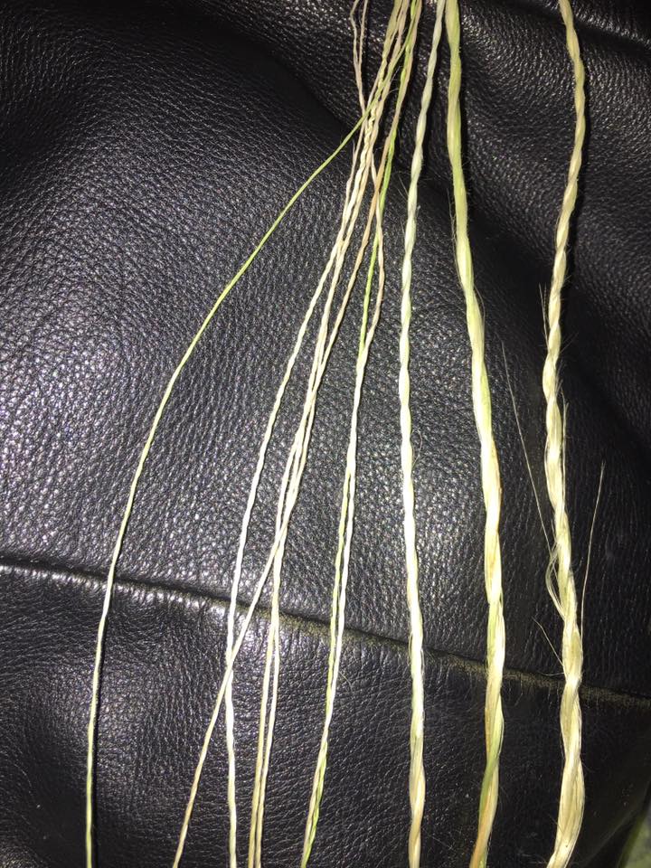 13615303_10153753010242828_7852866802026480308_n